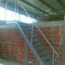 fortex
